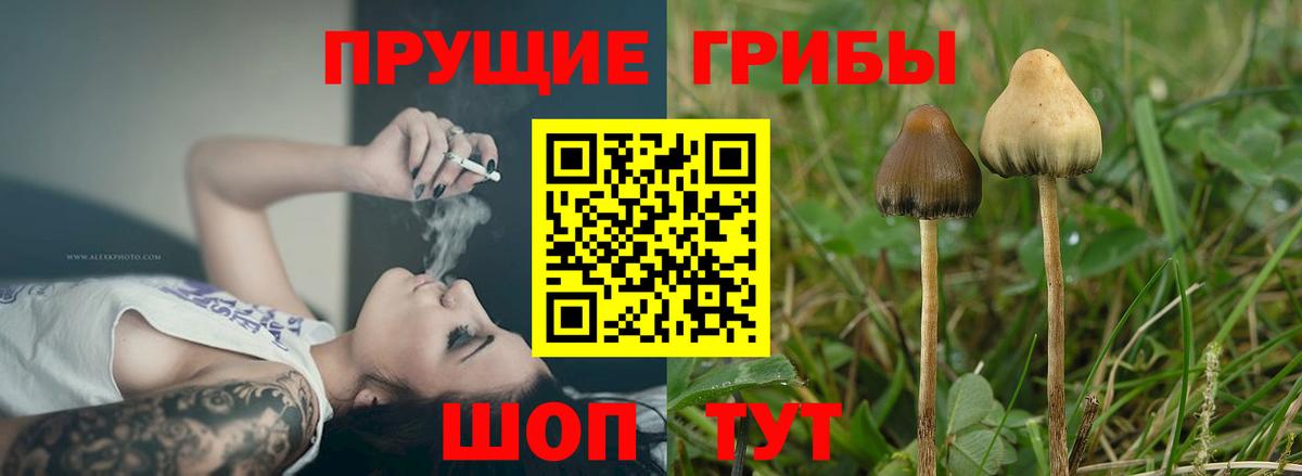 Спасск-Дальний  Галлюциногенные грибы Psilocybe  Вход с VPN  Псилоцибиновые грибы Cubensis 